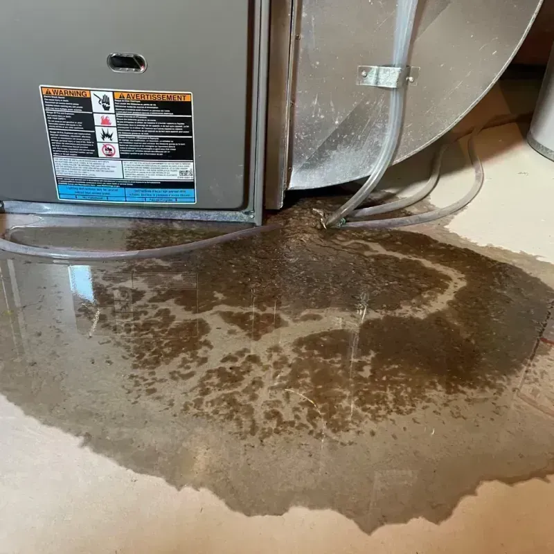 Appliance Leak Cleanup in Sandwich, IL